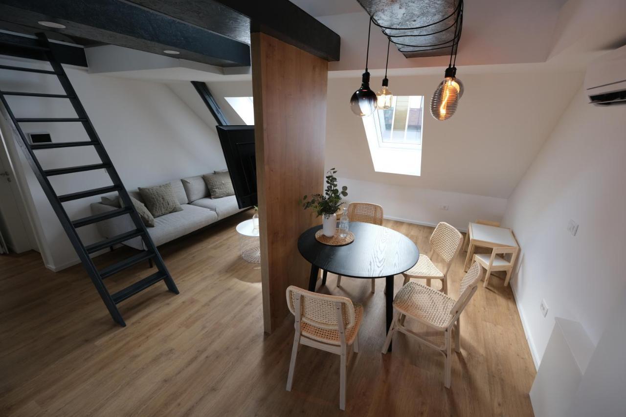 Apartments Emona Free Parking & Gym リュブリャナ エクステリア 写真
